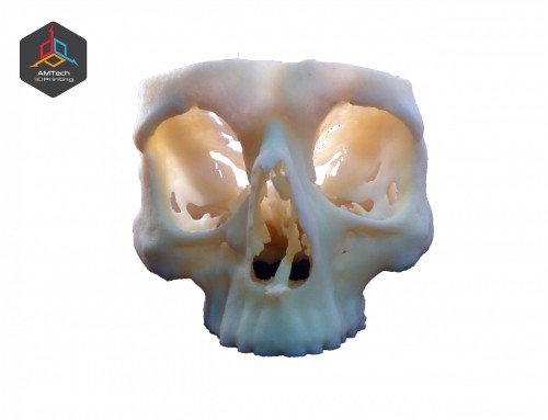 Top Part Skull