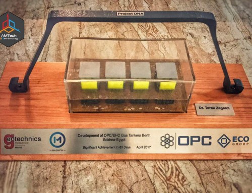 Model of Offshore Dolphins